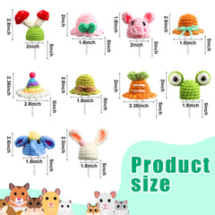 Kajaia carrot-style mini hat adds playful charm to your small pet