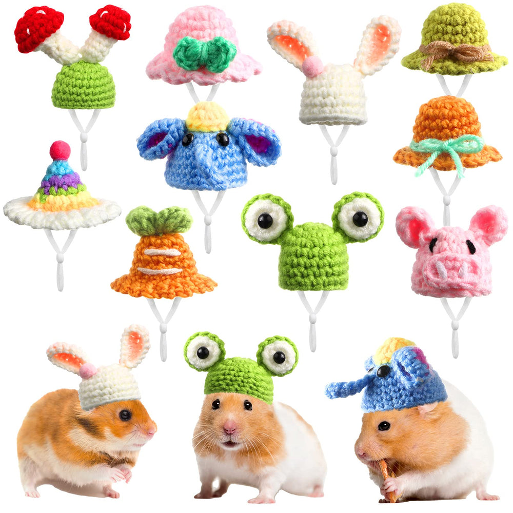 Kajaia frog-style mini hat on a small pet for cute photo moments