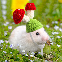 Kajaia pig-style mini hat suits tiny pets for festive dress-up