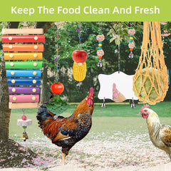 KAKUNM chicken toys coop mirror sparks curiosity and social play