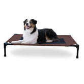 K&H Pet Cot frame shows elevated outdoor design for cooling and rest