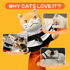 Karate Kitty catnip pocket adds scent cue to boost engagement.