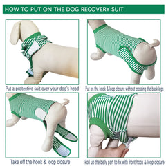 Karoku dog recovery suit front view shows easy wear and coverage.