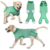 Karoku dog recovery suit on a dog enhances wound protection and mobility.