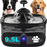 Kastty dog water fountain 9.5L capacity for constant hydration at home.