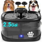 Kastty dog water fountain with large capacity supports multi-pet hydration.