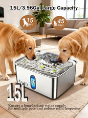 Kastty large-dog fountain in stainless steel for durability and easy cleaning.