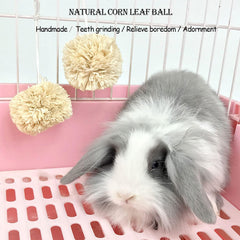 kathson grass cakes and grass balls aid digestion and appetite in small pets