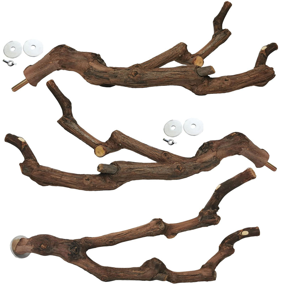 Kathson grapevine perch branch offers natural grip for small birds.