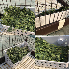 Kathson plastic hay basket is durable and easy to clean.