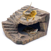 Kathson large turtles basking platform for sunning and climbing.