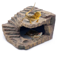 Kathson large turtles basking platform for sunning and climbing.