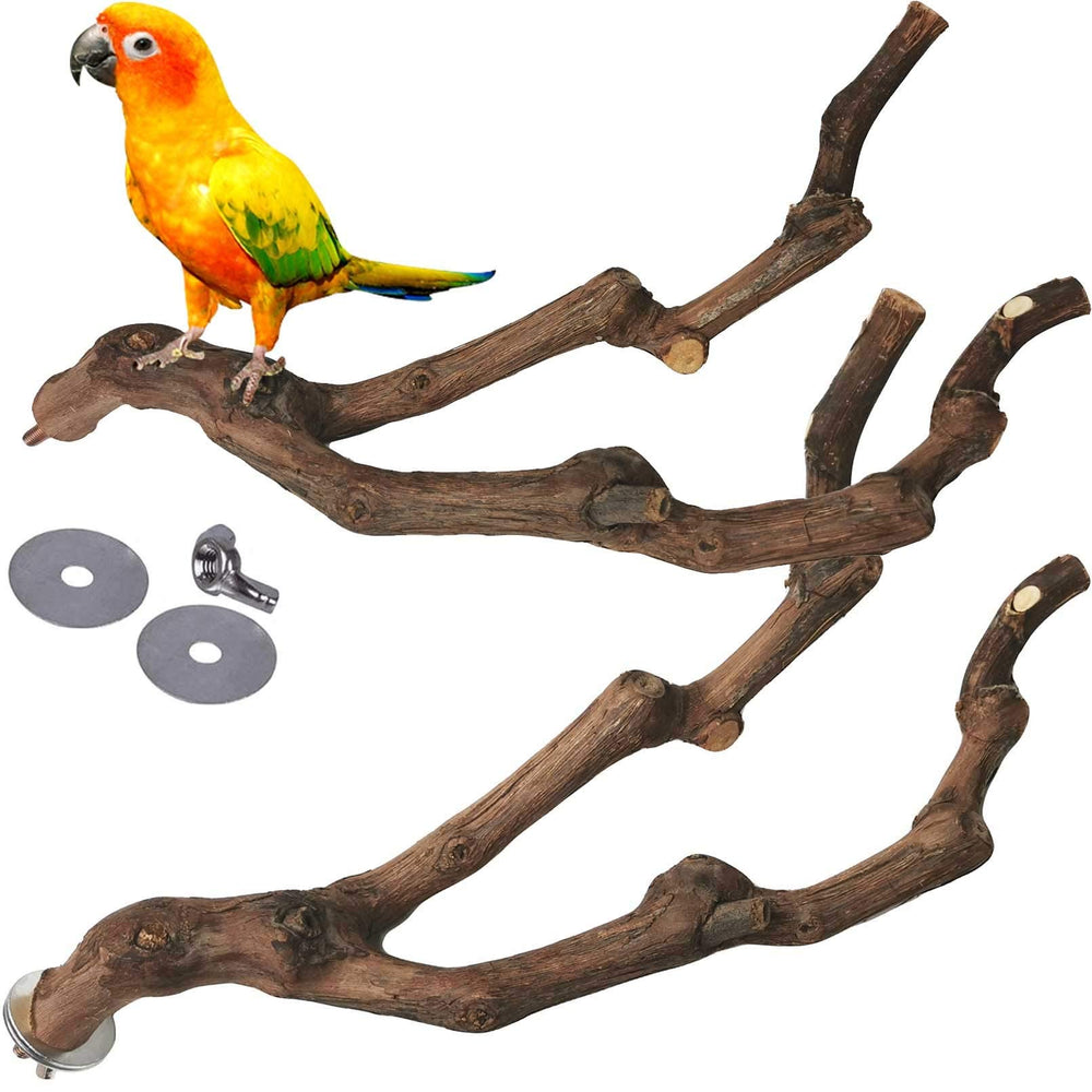 Kathson natural grapevine perch provides secure grip for small birds.