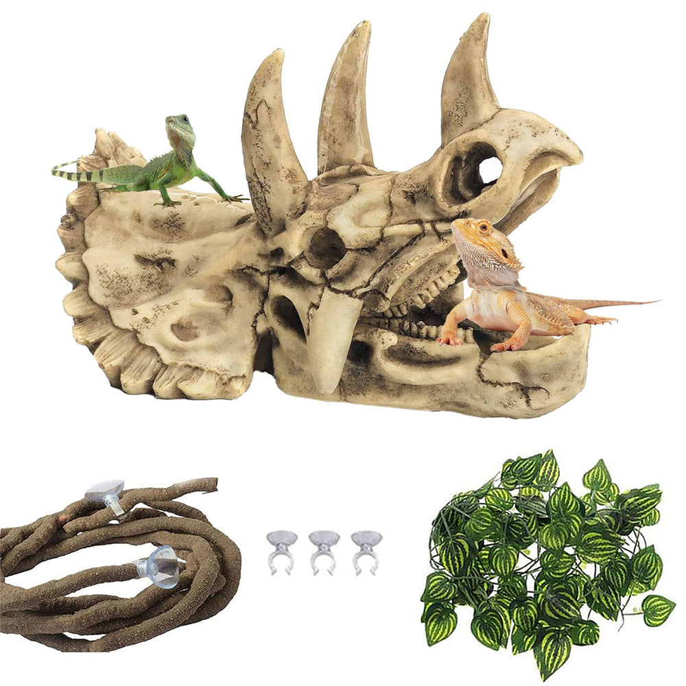 Kathson reptile resin dinosaur skull decoration for bearded dragons enhances terrarium aesthetics