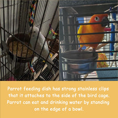 Kathson stainless bird water bowls stay clean and easy to refill.