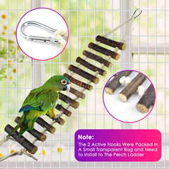 KATUMO colorful chewing toys offer engaging beak stimulation and safe play.