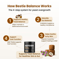 Kayode Bestie Balance dog probiotic chews being offered as a tasty daily treat.