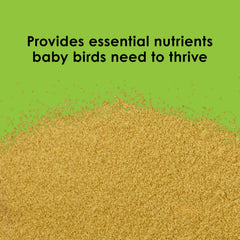 Kaytee Exact digestive enzymes close-up emphasizing easier digestion during weaning.