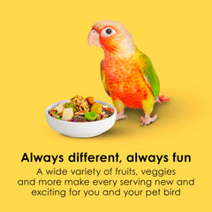 Kaytee Fiesta conure food fruit–vegetable blend supports balanced nutrition.