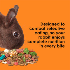 Kaytee Fiesta dental-chewing-activity: diverse shapes promote natural chewing behavior.
