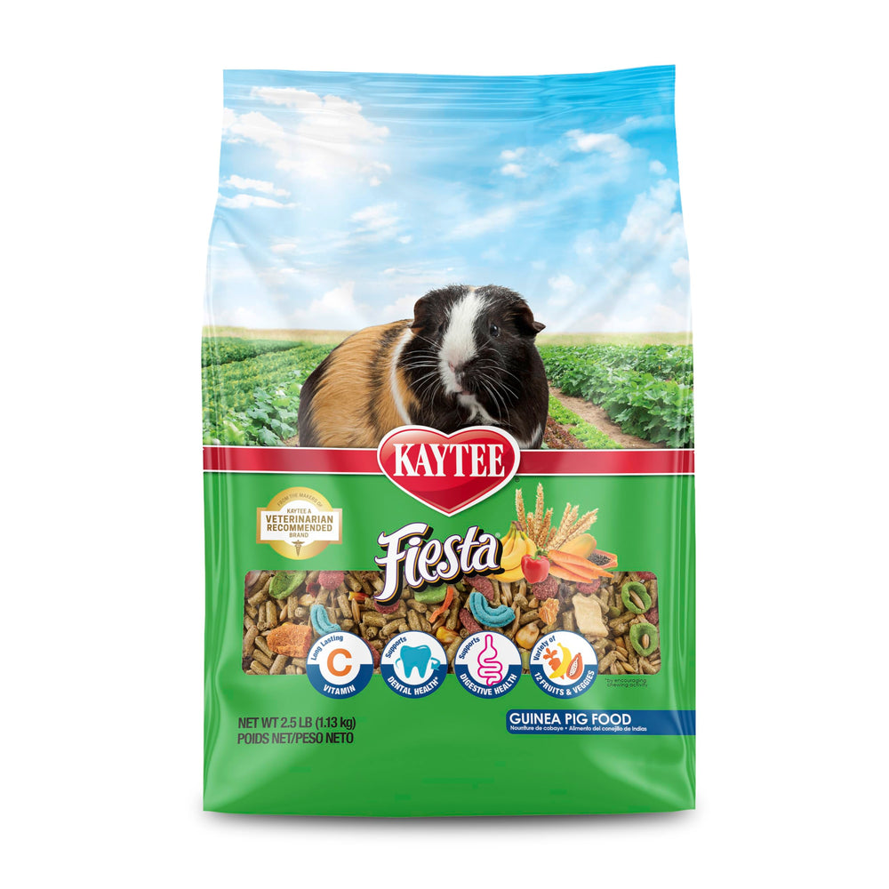 Kaytee Fiesta guinea pig food bowl setup showing engaging meal presentation.