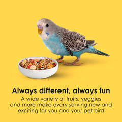 Kaytee Fiesta parakeet food antioxidants omega-3 probiotics for health