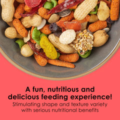 Close-up of Kaytee Fiesta ingredients highlighting fruits, seeds, vegetables