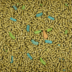 Kaytee Forti-Diet Pro Health illustration highlighting probiotics for guinea pig digestion