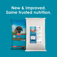 Kibble closeup shows crunchy pellets designed for engaging chewing and dental wear.