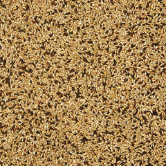 Kaytee Supreme seed and grain mix featuring natural ingredients for birds.