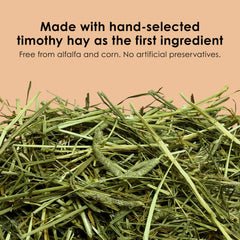 Kaytee Timothy Complete Rabbit Food in bowl ready for daily feeding routine