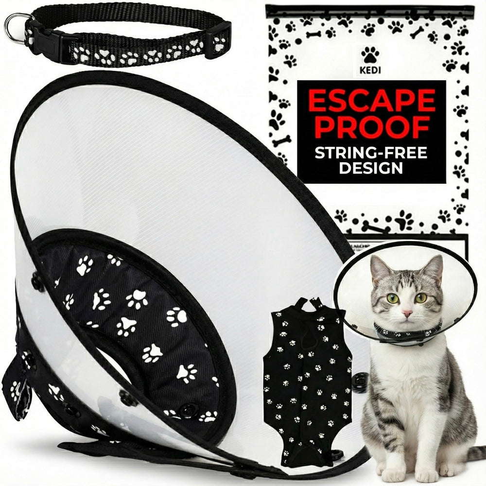 Kedi Cats Solutions recovery vest and cone on a calm cat, protecting wounds.