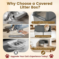 Open-top design keeps cat comfortable and visible inside the box