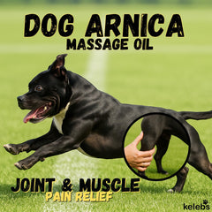 KELEBS arnica oil for dogs used during massage for mobility support