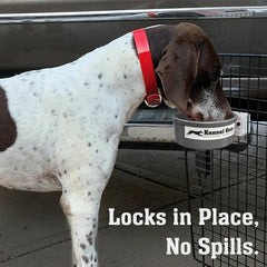 Secure mounting keeps the Kennel-Gear bowl steady on crates during travel.