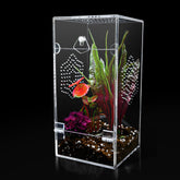 KERRLOTTE acrylic jumping spider enclosure with front door for easy access and secure containment.