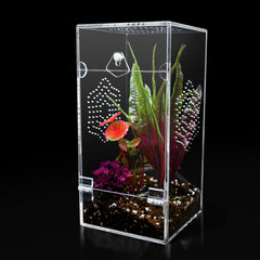 KERRLOTTE acrylic jumping spider enclosure with front door for easy access and secure containment.