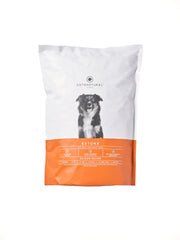 Ketona Salmon Recipe dry dog food kibble close-up highlighting high protein and low carb.