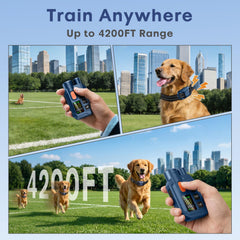 Ketwini dual-channel remote used for training two dogs simultaneously