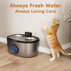 Keygarzone ZCW001-compatible filter ensures easy fountain maintenance