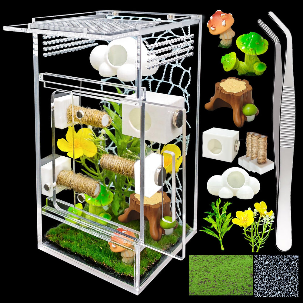 KFPSHLQE jumping spider enclosure glass house for clear viewing and feeding ease.