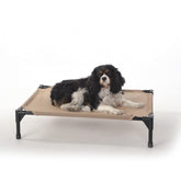 K&H Outdoor Elevated Dog Bed with cooling mesh for small to medium dogs