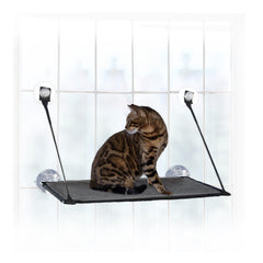 K&H EZ Mount Cat Window Perch for large cats delivers a sunlit window view.