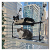 K&H EZ Mount Double Stack Cat Window Perch shows strong suction for safe sunbathing.