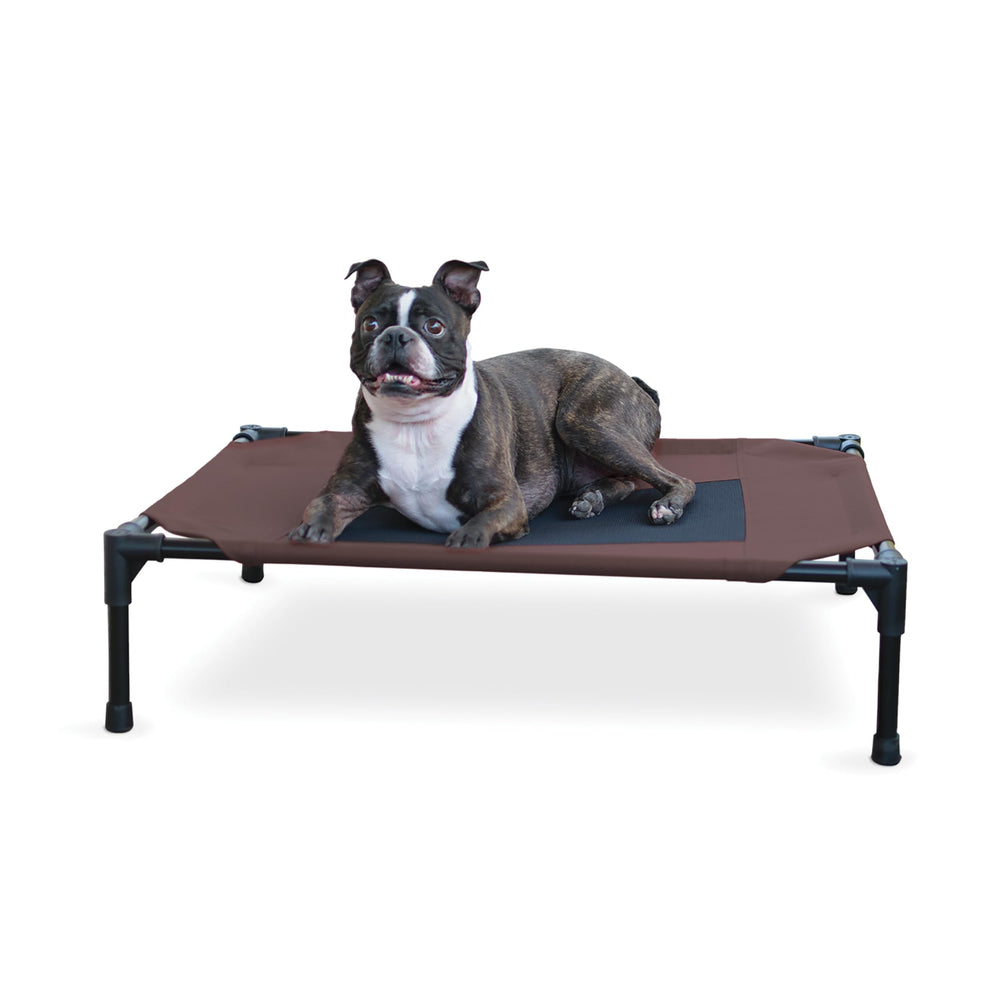 K&H Pet Products Original elevated cot with microfleece pad keeps dogs comfy.