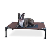K&H Pet Products Original elevated cot with microfleece pad keeps dogs comfy.