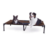 K&H Pet Products outdoor elevated dog cot shown outdoors, keeping dogs off the ground for cooling.