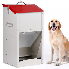 KHEARPSL galvanized automatic dog feeder front view with transparent door for easy monitoring