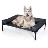 K&H Bolster Dog Cot assembly for quick setup and outdoor use