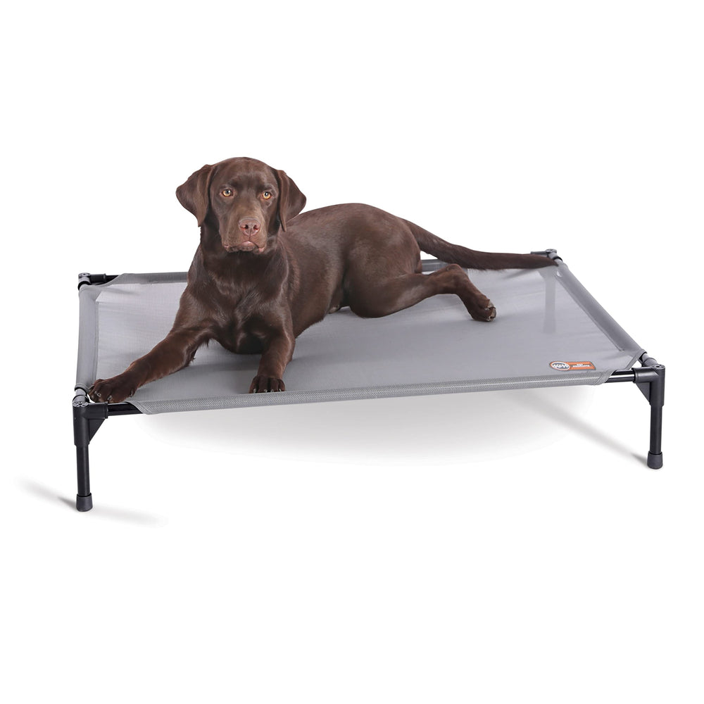 K&H Pet Products elevated outdoor dog cot bed keeps dogs cool off the ground